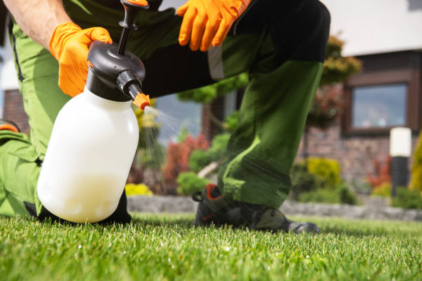Professional Pest Control in Arlington Heights, IL