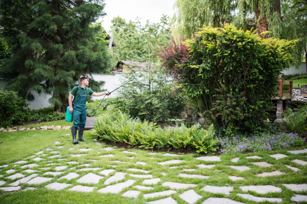 Best Best Pest Control Companies  in Arlington Heights, IL