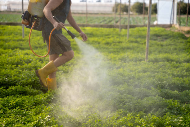 Best Affordable Pest Control Services  in Arlington Heights, IL