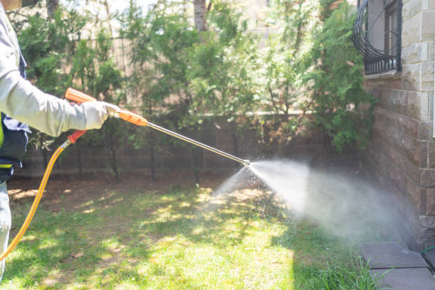 Best Insect Control  in Arlington Heights, IL