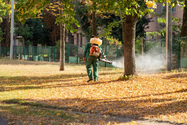 Best Flea Control Services  in Arlington Heights, IL