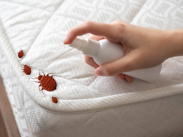 Best Pest Control Near Me  in Arlington Heights, IL