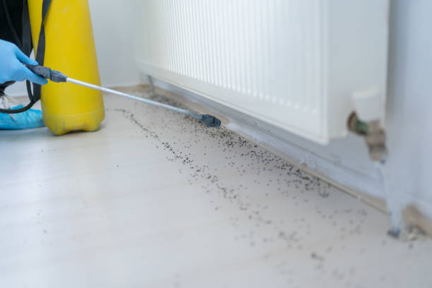 Best Pest Prevention Services  in Arlington Heights, IL