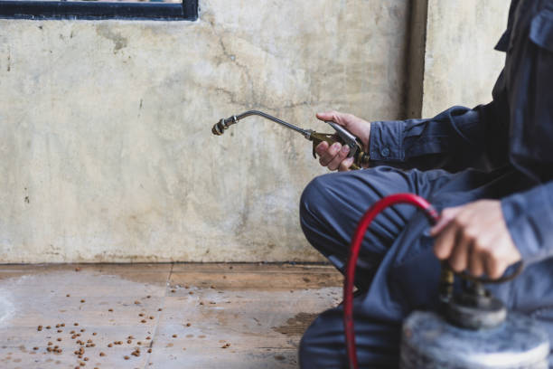 Best Termite Control Services  in Arlington Heights, IL